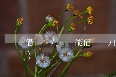 借唄無力償還能(借唄無力償還能恢復(fù)嗎)
