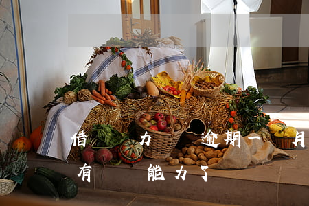 借唄無力償還逾期一個月(借唄逾期怎么辦 沒有償還能力了)