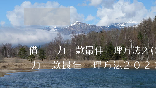 借唄無力還款最佳處理方法202-借唄無力還款最佳處理方法2023