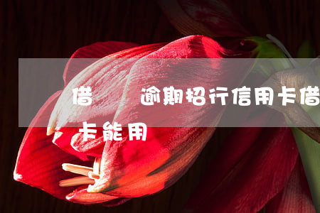 借唄無逾期招行信用卡(借唄無逾期招行信用卡能用嗎)