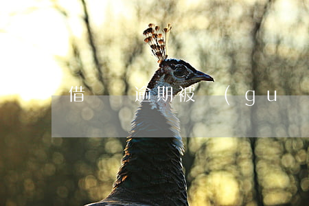 借唄無逾期被關(guān)