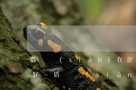 借唄現(xiàn)在是合并還款還是延期好-借唄現(xiàn)在是合并還款還是延期好呢