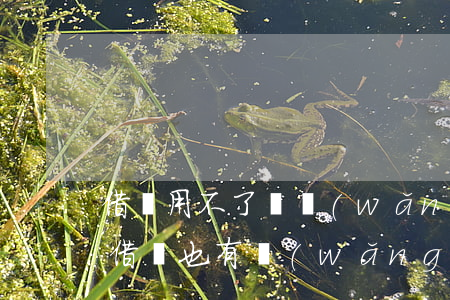 借唄用不了說網(wǎng)商貸逾期(我有借唄也有網(wǎng)商貸咋回事)