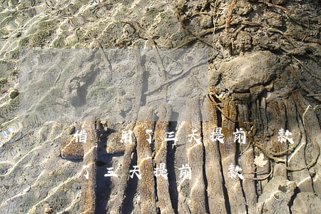 借唄用了三天提前還款會漲額度嗎-借唄用了三天提前還款會漲額度嗎安全嗎
