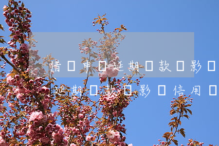 借唄申請延期還款會影響信用嗎-借唄申請延期還款會影響信用嗎知乎