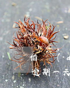 借唄當(dāng)天沒還上算逾期嗎(借唄逾期一天有沒有問題?)