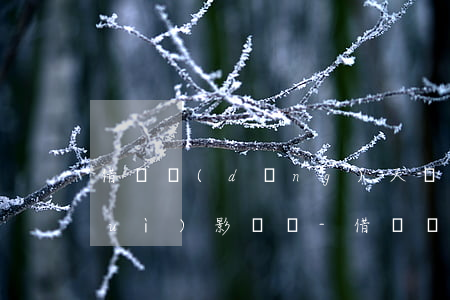 借唄當(dāng)天還款又借出來會(huì)影響嗎-借唄當(dāng)天還款又借出來會(huì)影響嗎怎么辦