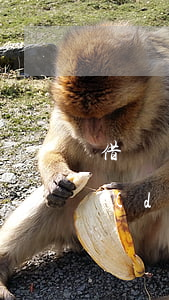 借唄當(dāng)天還款顯示逾期(借唄當(dāng)天還款為什么逾期)