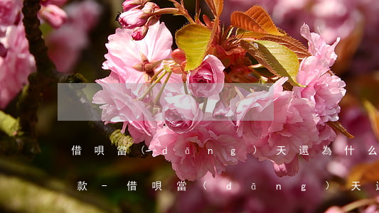 借唄當(dāng)天還為什么顯示提前還款-借唄當(dāng)天還為什么顯示提前還款了