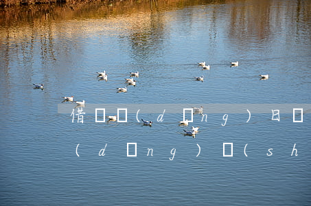 借唄當(dāng)日還款時(shí)當(dāng)時(shí)一天都能還嗎-借唄當(dāng)日還款時(shí)當(dāng)時(shí)一天都能還嗎安全嗎