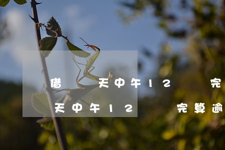 借唄當天中午12點還完算逾期嗎-借唄當天中午12點還完算逾期嗎怎么辦
