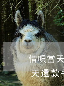 借唄當天還款手動還進去也降額了-借唄當天還款手動還進去也降額了怎么回事