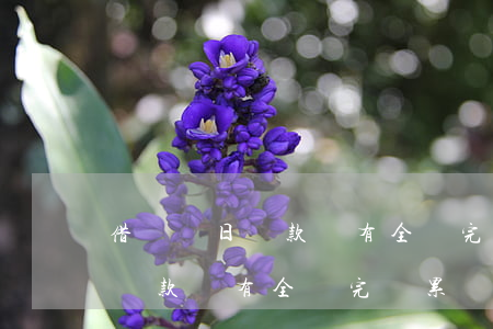 借唄當日還款沒有全還完會累計-借唄當日還款沒有全還完會累計逾期嗎
