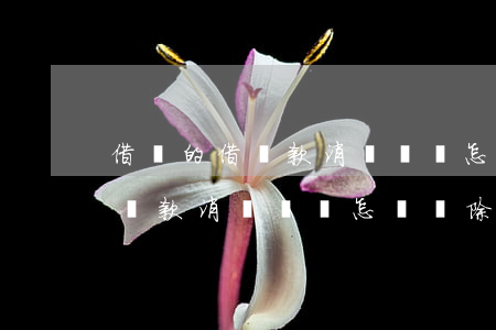 借唄的借還款消費記錄怎樣刪除-借唄的借還款消費記錄怎樣刪除?