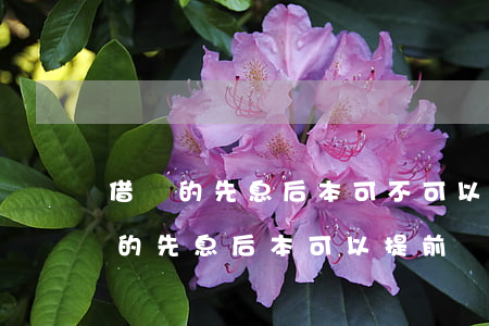 借唄的先息后本可不可以提前還款-借唄中的先息后本可以提前還款嗎
