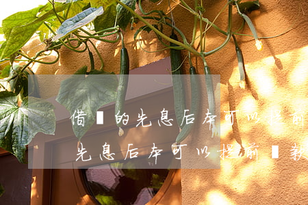 借唄的先息后本可以提前還款嗎-借唄中的先息后本可以提前還款嗎