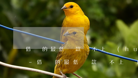 借唄的最低還款還不上會(huì)怎么樣-借唄的最低還款還不上會(huì)怎么樣嗎