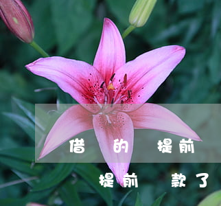 借唄的錢提前還款了還要還利息嗎-借唄的錢提前還款了還要還利息嗎怎么辦