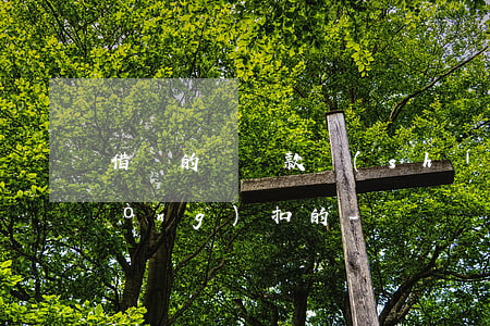 借唄的錢還款時(shí)在哪里自動(dòng)扣的-