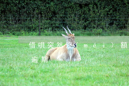 借唄突然沒(méi)額度導(dǎo)致逾期