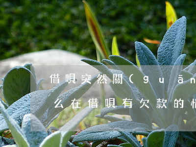 借唄突然關(guān)閉欠的錢怎么辦(怎么在借唄有欠款的情況下關(guān)閉)