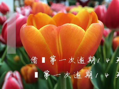 借唄第一次逾期14天會(huì)怎樣（借唄第一次逾期14天）