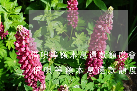 借唄等額本息還款額度會恢復(fù)嗎-借唄等額本息還款額度會恢復(fù)嗎安全嗎