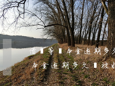 借唄等額本金逾期多久會被收回-借唄等額本金逾期多久會被收回呢