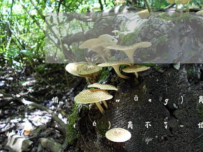 借唄網(wǎng)商貸逾期無力償還協(xié)商不了-借唄網(wǎng)商貸逾期還不上怎么辦