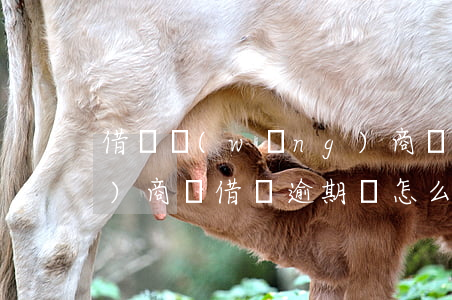 借唄網(wǎng)商貸逾期能協(xié)商嗎(借唄逾期該怎么協(xié)商)