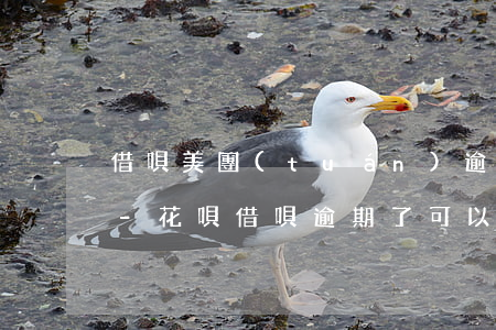 借唄美團(tuán)逾期過能辦信用卡嗎-花唄借唄逾期了可以申請(qǐng)信用卡嗎?