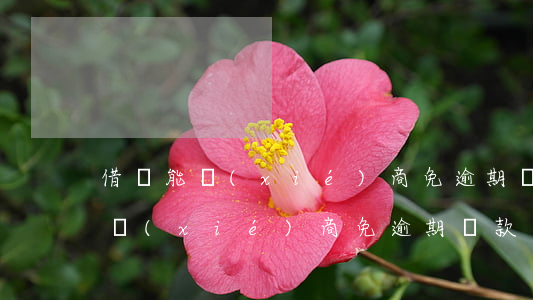 借唄能協(xié)商免逾期還款嗎（借唄能協(xié)商免逾期還款嗎）