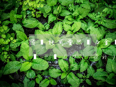 借唄能商量只還本金嗎(借唄可以商量每個月還一點(diǎn)嗎)