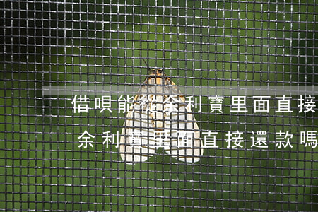 借唄能從余利寶里面直接還款嗎-借唄能從余利寶里面直接還款嗎安全嗎