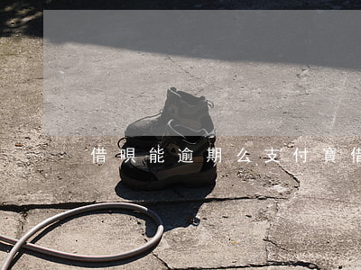 借唄能逾期么（支付寶借唄逾期了可以嗎）