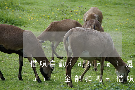 借唄自動(dòng)還款不夠錢還會(huì)全部扣嗎-借唄自動(dòng)還款不夠錢還會(huì)全部扣嗎怎么辦