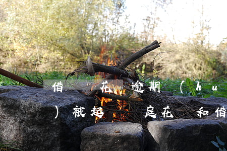 借唄與花唄逾期會(huì)不會(huì)被起訴開庭 花唄和借唄逾期多久會(huì)讓法院起訴了