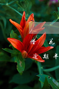 借唄花唄10萬逾期多久會起訴-借唄花唄逾期半年了,欠款十萬多會起訴我嗎