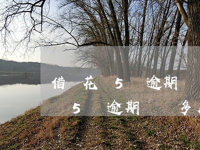 借唄花唄5萬逾期兩個多月怎么辦-借唄花唄5萬逾期兩個多月怎么辦呢