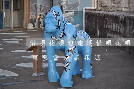 借唄花唄也逾期(借唄花唄逾期半年了,欠款四萬多會起訴我嗎)