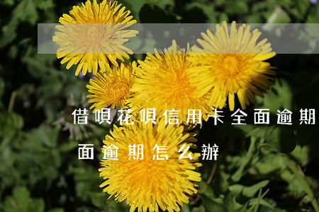 借唄花唄信用卡全面逾期 借唄花唄信用卡全面逾期怎么辦