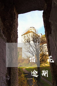借唄花唄信用卡都逾期了(借唄逾期和信用卡逾期)