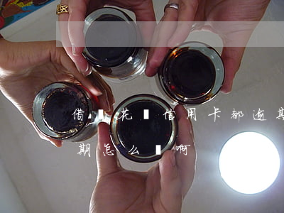借唄花唄信用卡都逾期了(花唄借唄信用卡逾期怎么辦啊)