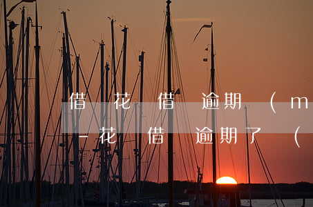 借唄花唄借錢逾期沒(méi)錢還怎么辦-花唄,借唄逾期了,現(xiàn)在沒(méi)有能力償還怎么辦