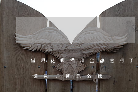 借唄花唄備用金都逾期了(借唄花唄備用金都逾期了會怎么樣)