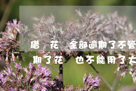 借唄花唄全部逾期了不管了行不行-借唄逾期了花唄也不能用了,大概多久能恢復(fù)