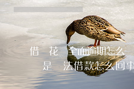 借唄花唄全面逾期怎么辦(花唄逾期結清,借唄還是無法借款怎么回事?)