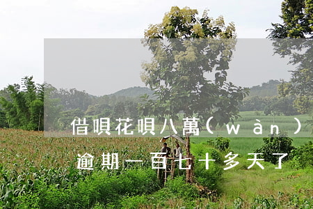 借唄花唄八萬(wàn)逾期六十多天(借唄逾期一百七十多天了)
