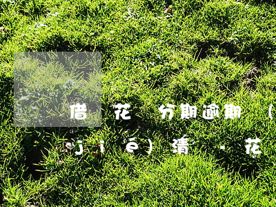 借唄花唄分期逾期會(huì)一次讓結(jié)清嗎-花唄借唄逾期再分期