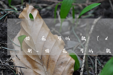 借唄花唄可以還款當(dāng)天申請延期-借唄花唄可以還款當(dāng)天申請延期嗎